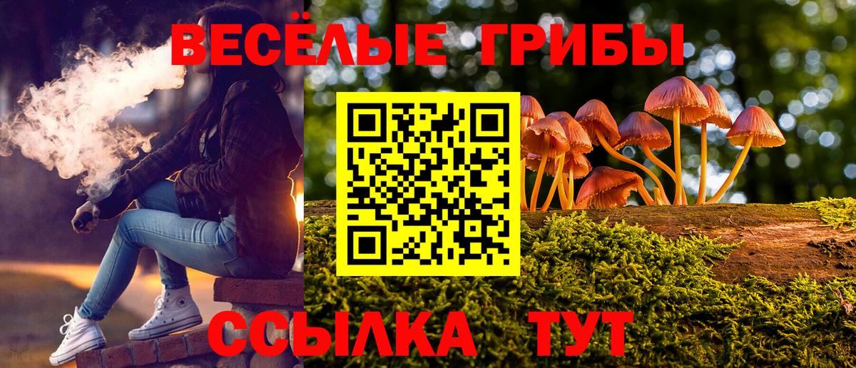 Галлюциногенные грибы прущие грибы  Вход с VPN  Азов 